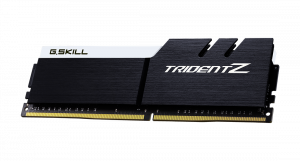 رم جی اسکیل trident z